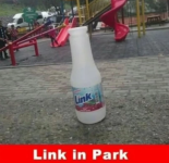 link in park.png