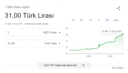 dolar 31 tl.png