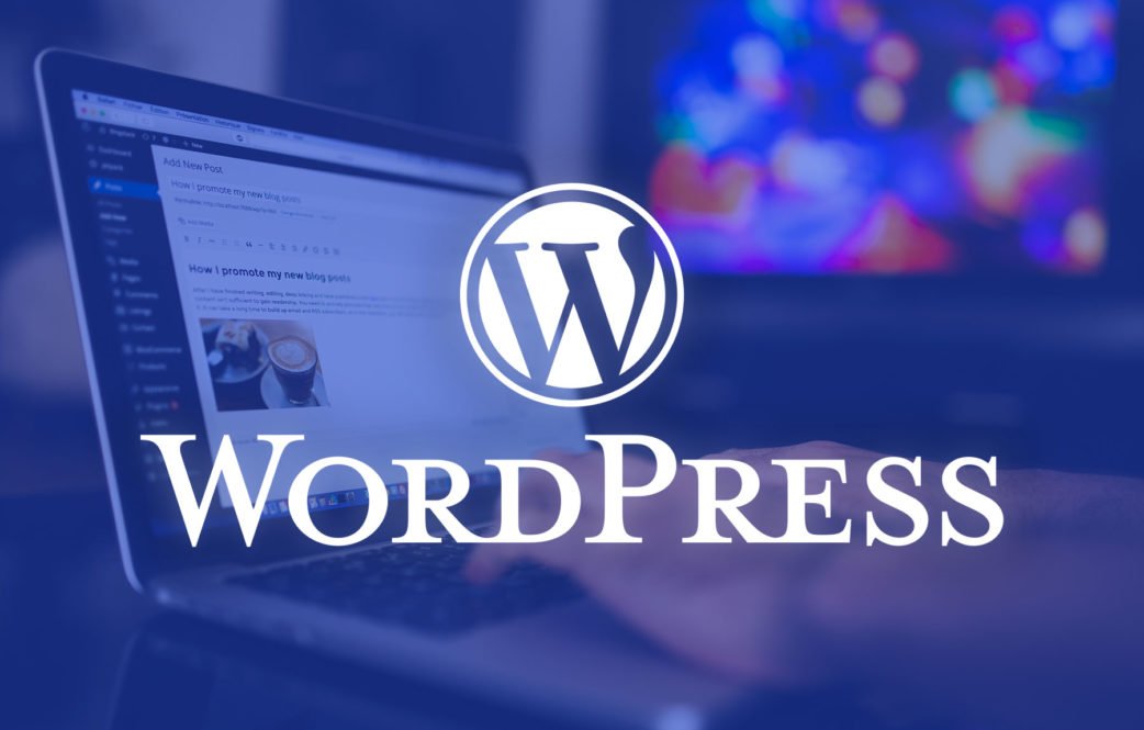 WordPress’in 20. Yılı: Şaşırtıcı Gerçekler ve Başarı Hikayesi