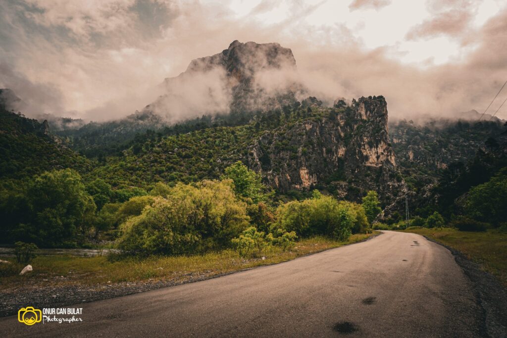 doğa fotoğrafı / onur can bulat