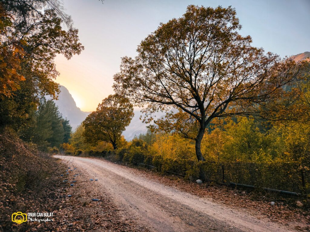 belemedik tabiat parkı yolu / onur can bulat